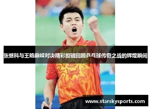 张继科与王皓巅峰对决精彩剪辑回顾乒乓球传奇之战的辉煌瞬间